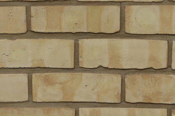 Beechwood Buff