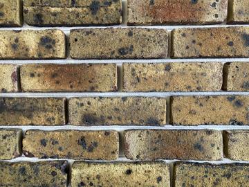 Coleford Yellow Sample